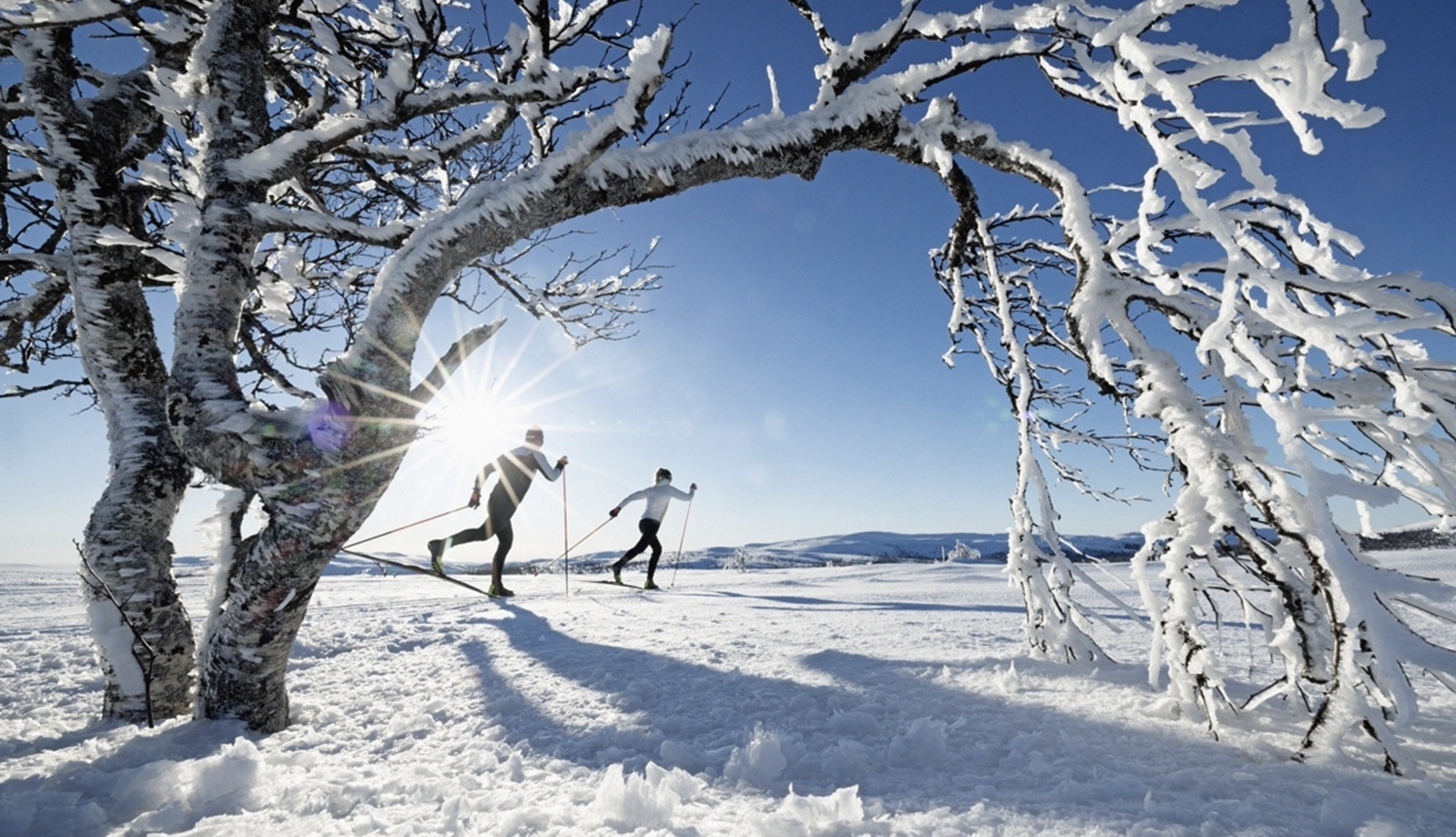 Winterlandschaft mit schneebedeckten Bäumen und zwei Langläufer:innen in klassischer Technik